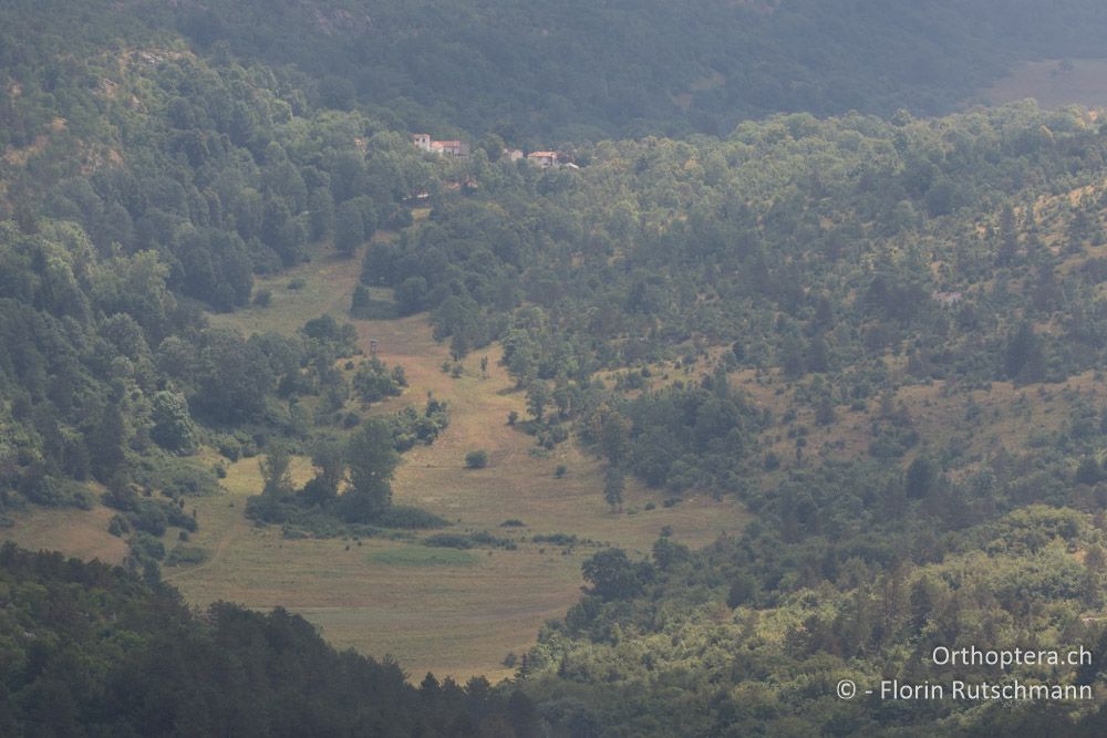 Landschaft im Dunst nach dem Regen - HR, Istrien, Brest, 25.07.2015