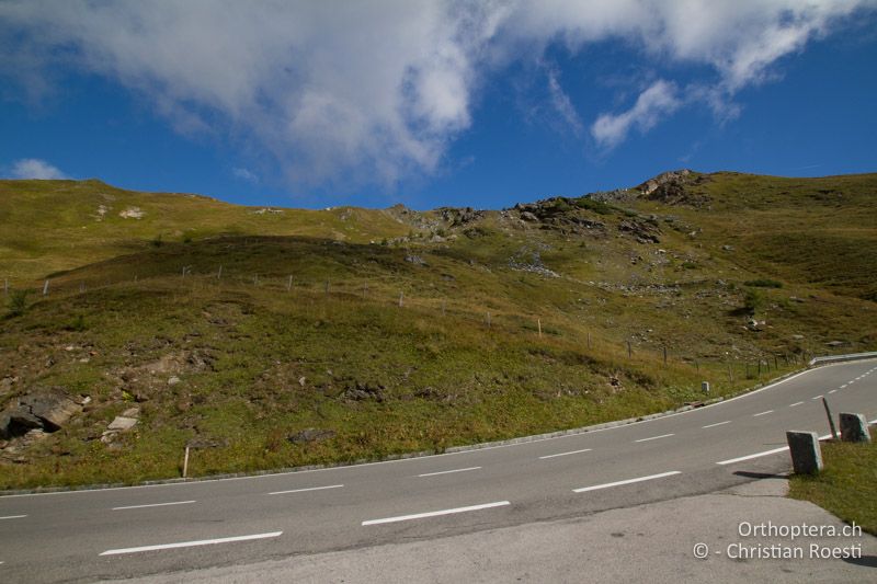 Bergwiesen - AT, Kärnten, Grossglockner Nationalpark, Heiligenblut, 21.09.2016