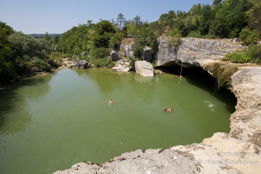 Abkühlung im See unweit von Pazin - HR, Istrien, Pazin, 19.07.2015