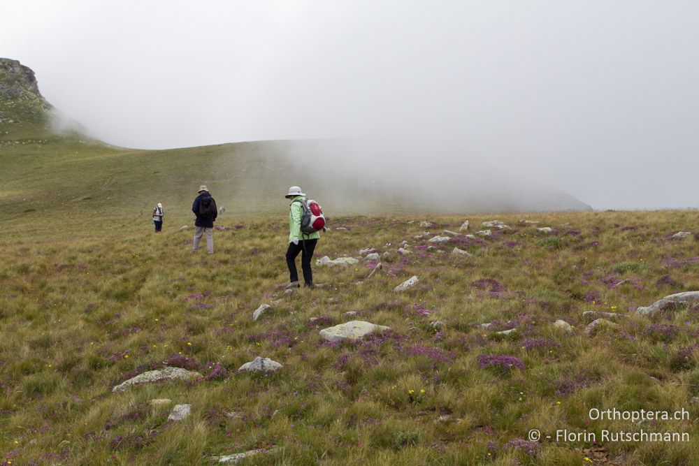 Spannende Lichtstimmungen auf dem Pass des Mt. Varnous - GR, Westmakedonien, Mt. Varnous, 11.07.2013