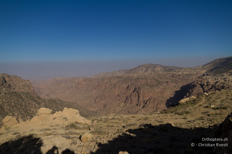 Wadi Dana, einfach wunderschön. Dana, 18.05.2011