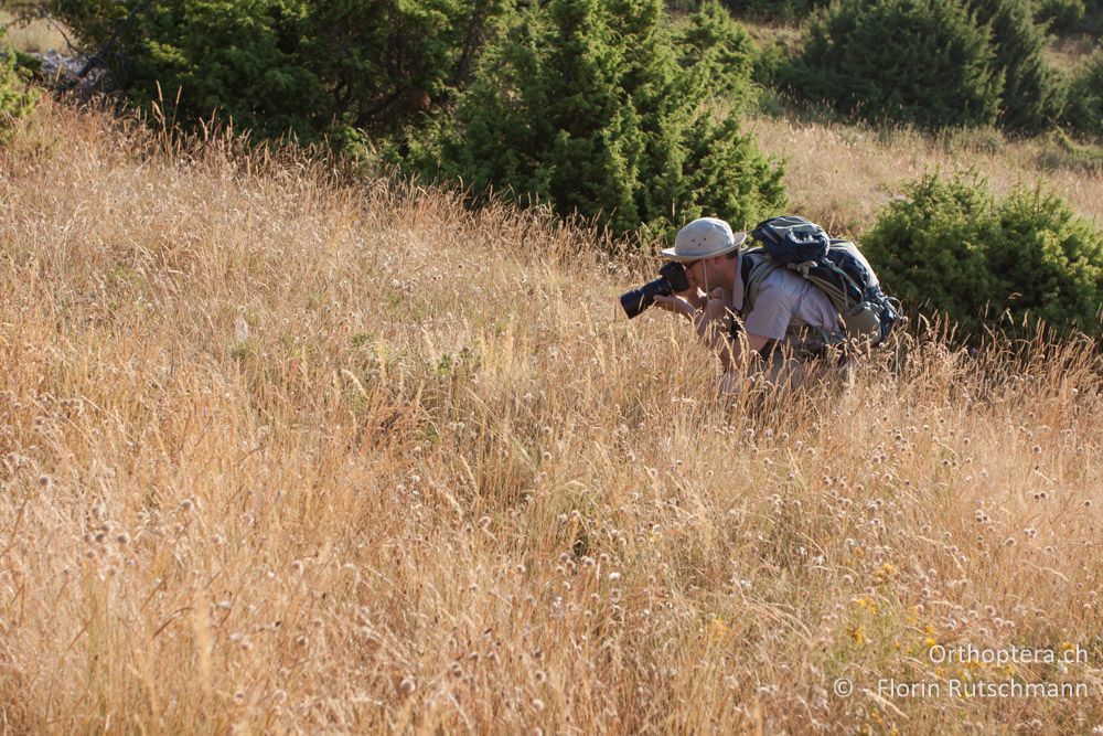 Dominik auf Kleintiersafari - Mt. Tomaros, 13.07.2011