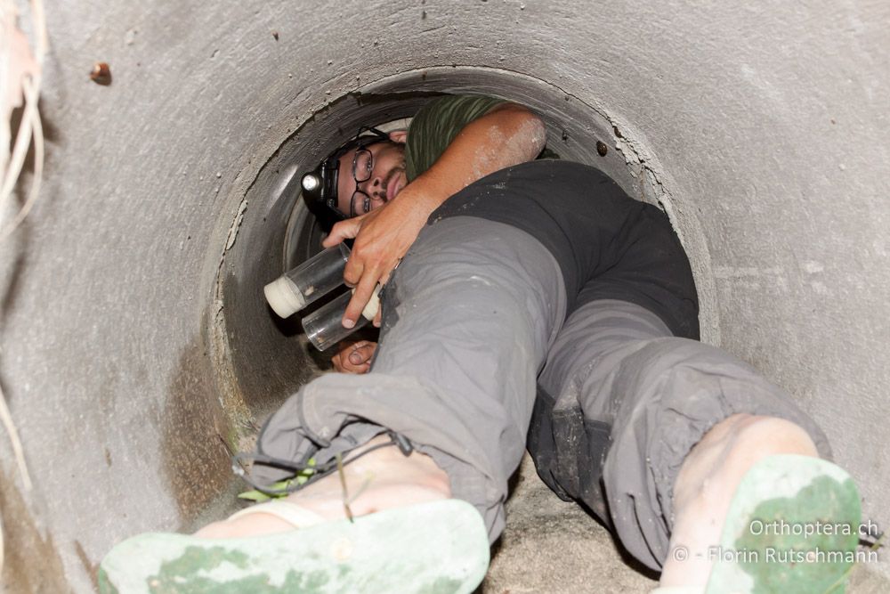 Christian in der Kanalisation auf der Suche nach Höhlenschrecken - HR, Istrien, Pazin, 12.06.2014