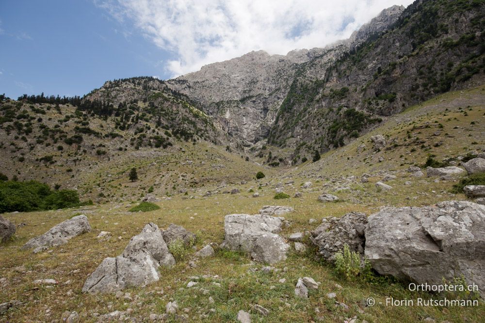 Gebirgslandschaft - GR, Mittelgriechenland, Mt. Giona, 09.06.2015