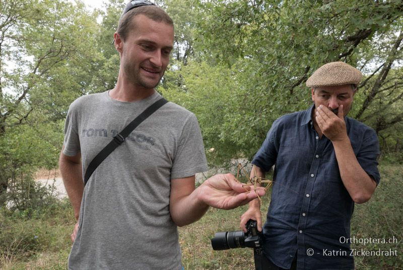 Christoph kann's nicht fassen - eine riesige Saga natoliae! - GR, Zentralmakedonien, Mt. Hortiatis, 04.07.2017