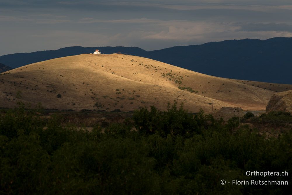 Lichtsimmung - GR, Thessalien, Larissa, 21.06.2015