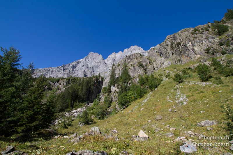 Trockener Südhang auf rund 1500 m ü.M. - CH, BE, Stechelberg, 20.09.2013