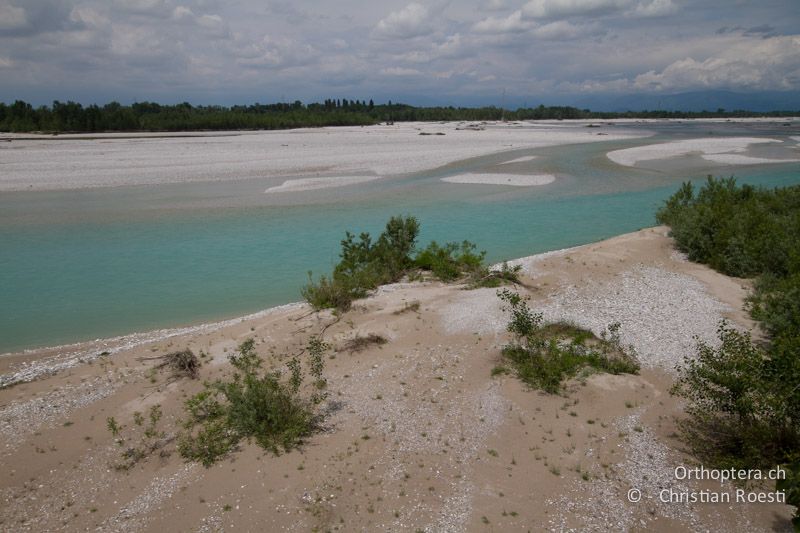 Tagliamento - IT, Friaul-Julisch Venetien, Codroipo, 28.05.2014