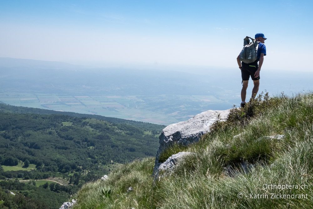 Ein einsamer Heuschreckenforscher hoch zu Berge: Klaus - HR, Primorje-gorski Kotar, Vela Učka, 22.06.2016