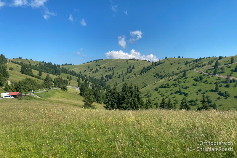 Landschaft beim Ghimes-Pass