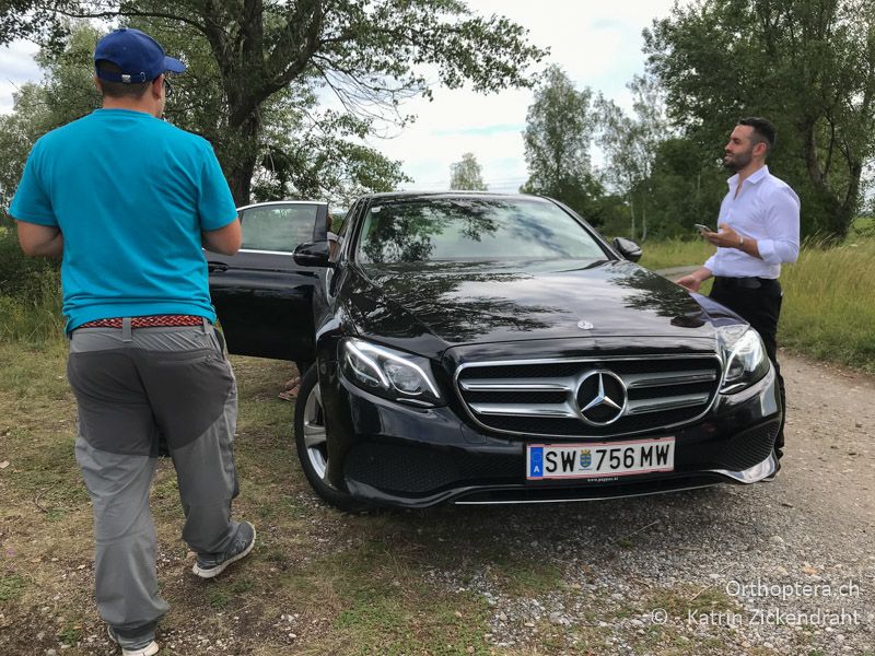 Wir werden als VIP in einer Limousine zu einer Heuschrecken-Exkursion gefahren! - AT, Niederösterreich, Ebergassing, 08.07.2018