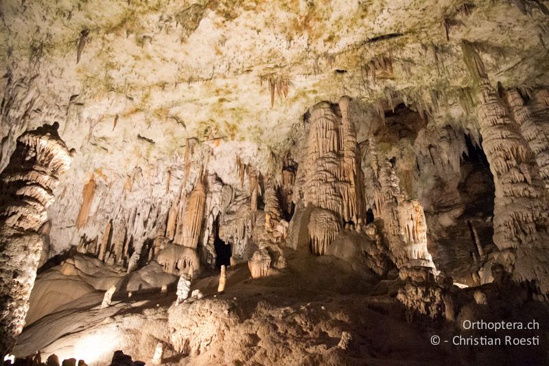 Tropfsteinhöhle Postojna - Slowenien, Notranjsko-Kraška, Postojna, 31.05.2014