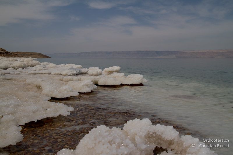 Totes Meer bei Wadi Mujib. 24.05.2011