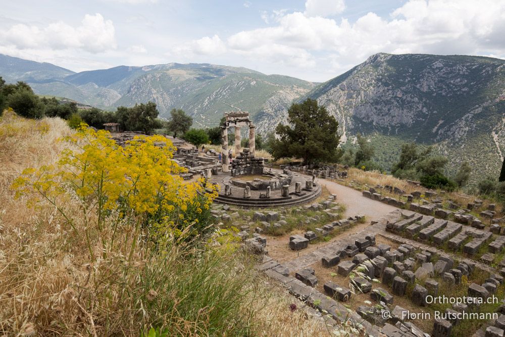 Historische Ruinen in spannender Umgebung - GR, Mittelgriechenland, Delfi, 08.06.2015