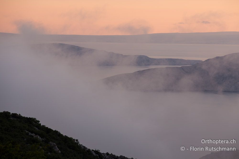 Abendstimmung an der Küste - HR, Lika-Senj, Velebit Nationalpark, 27.07.2014