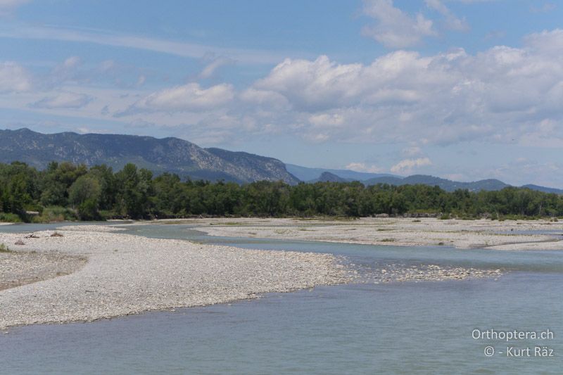 La Durance - FR, bei Manosque, 05.07.2014