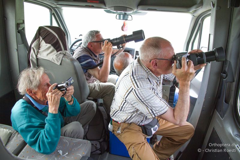 Eine Reisegruppe von Liberty-Bird beim Fotografieren und Filmen der Blauracke. Tutrakan, 13.05.2012