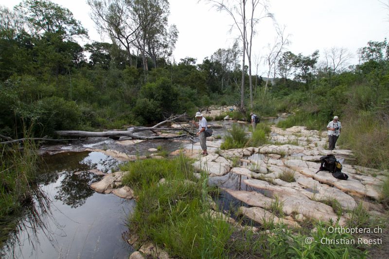 Bergbach - SA, Nort West, Rustenburg, Sparkling Waters Hotel, Magaliesberg, 14.01.2015