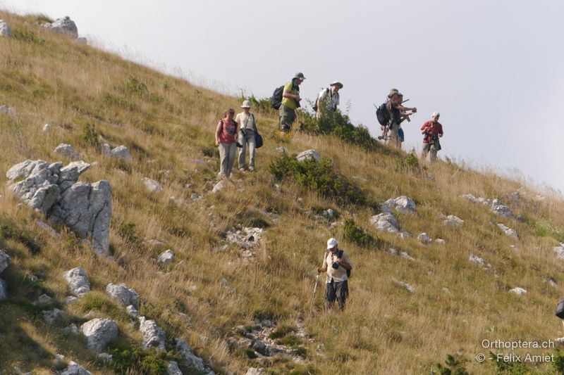 Auf der Wanderung nach Mala Učka - HR, Istrien, Mala Učka, 20.07.2015