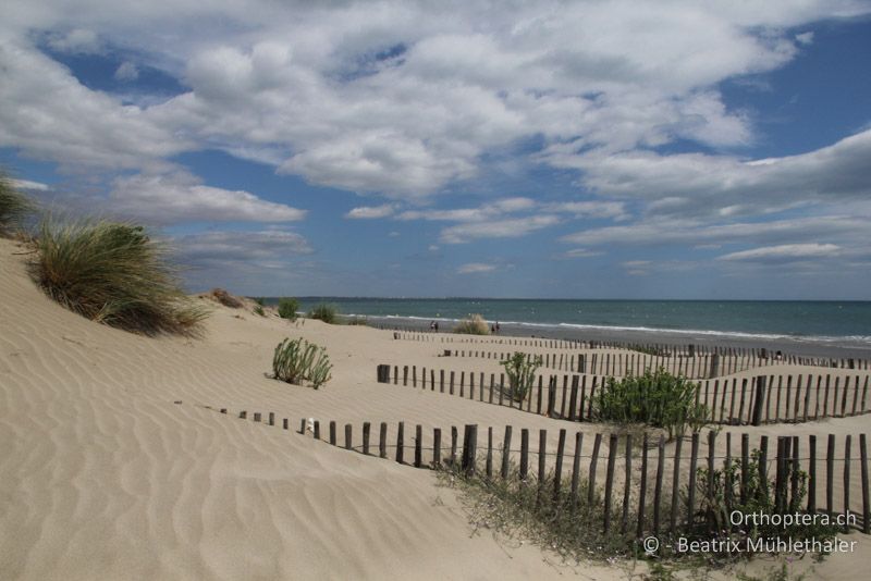 Badestrand bei Aigues-Mortes - FR, La Grande-Motte, 10.07.2014