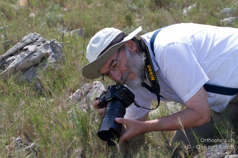 Während einige akribisch weiterarbeiten... - FR, Plateau d'Aumelas, 11.07.2104