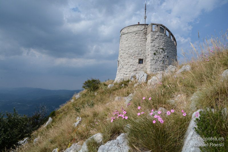 Vojak, 1394 m, höchster Punkt des Učka-Gebirges, 20.07.2015