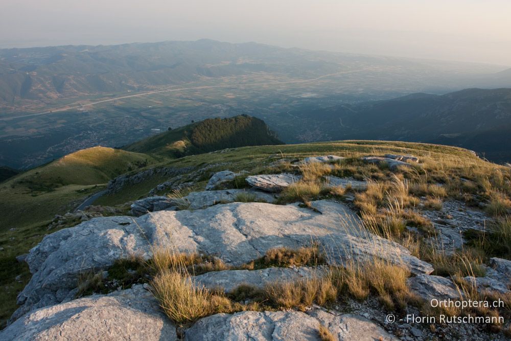 Abendsonne und Blick vom Mt. Pangeon ins Tal in Richtung Strimonas-Delta, 11.07.2012