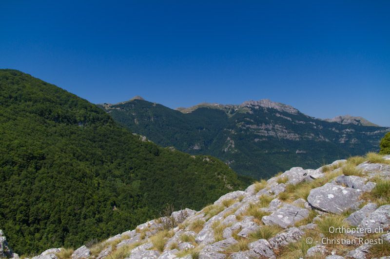 Kalkaufschluss in einer grossen Waldlichtung. Auch die Berggipfel im Hintergrund sind besiedelt - GR, Ostmakedonien, Mt. Pangeon, 06.07.2013