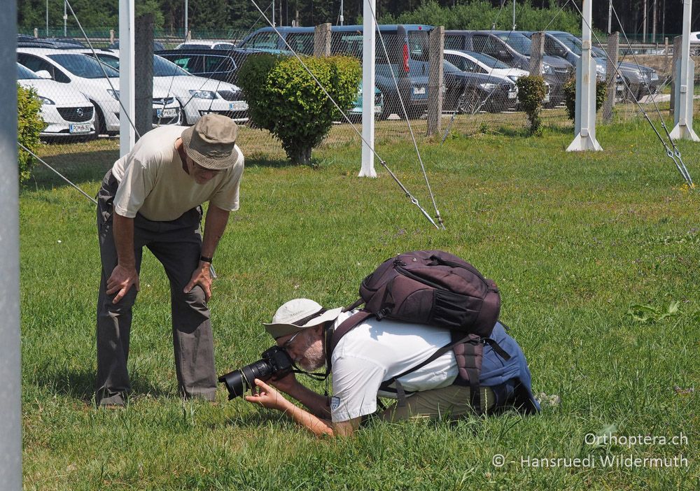 Stefan wird bereits am Flughafen Ljubljana fündig - SLO, Ljubljana, 18.07.2015