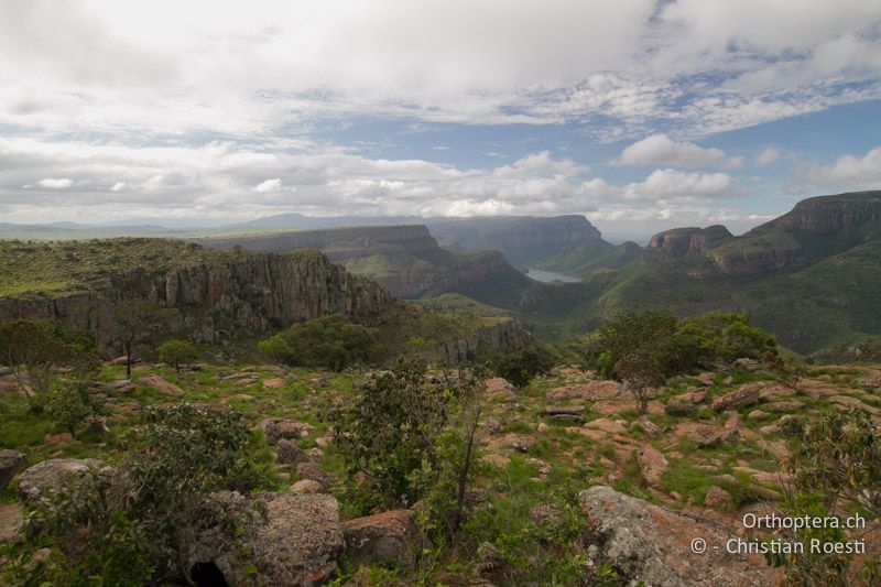 Canyon - SA, Mpumalanga, Matibidi, Blyde River Canyon, 10.01.2015