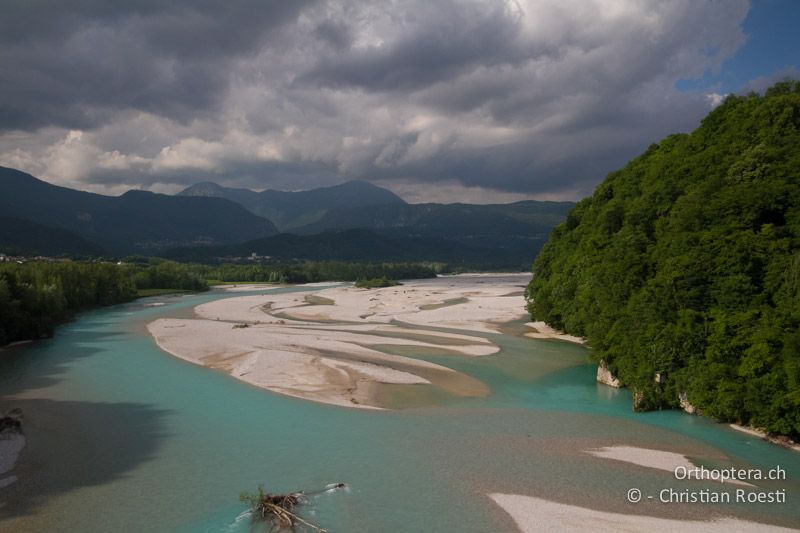 Tagliamento - IT, Friaul-Julisch Venetien, Pinzano al Tagliamento, 29.05.2014