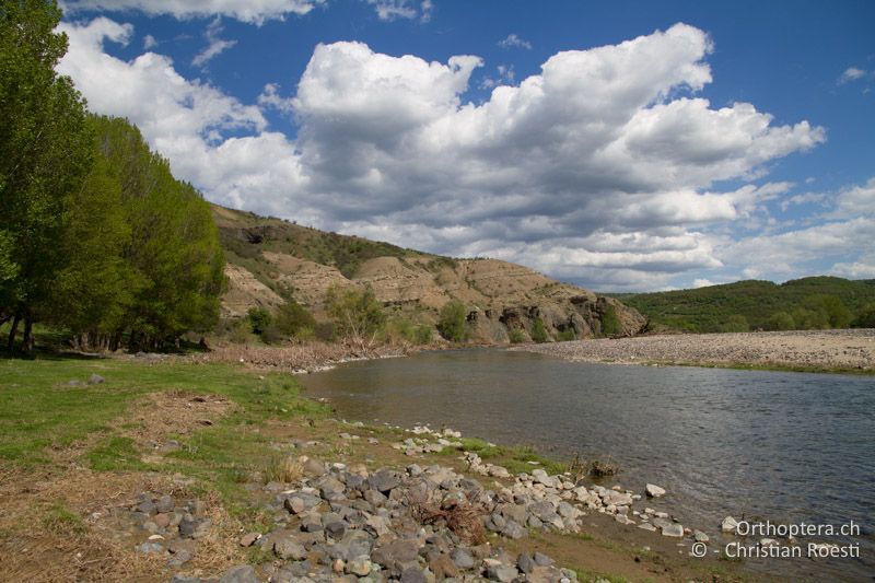 Flussbett mit Steinen - BG, Kardschali, Gorna Kula, 23.04.2012