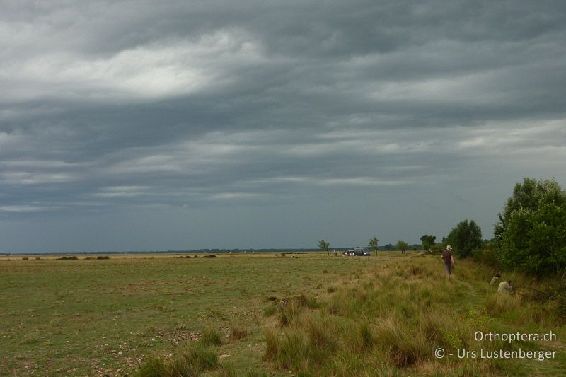 Regenwolken über der Crau, die Suche nach Libellen am Canal de Vergière geht weiter - FR, Crau, 07.07.2014