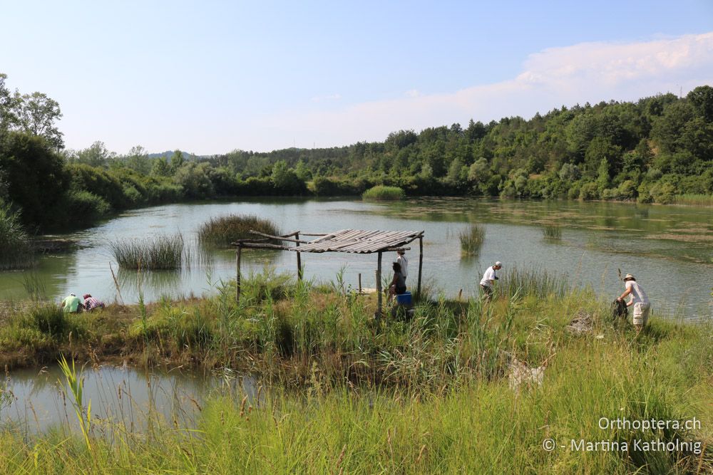 Fotolocation - HR, Istrien, Cerovlje, 22.07.2015