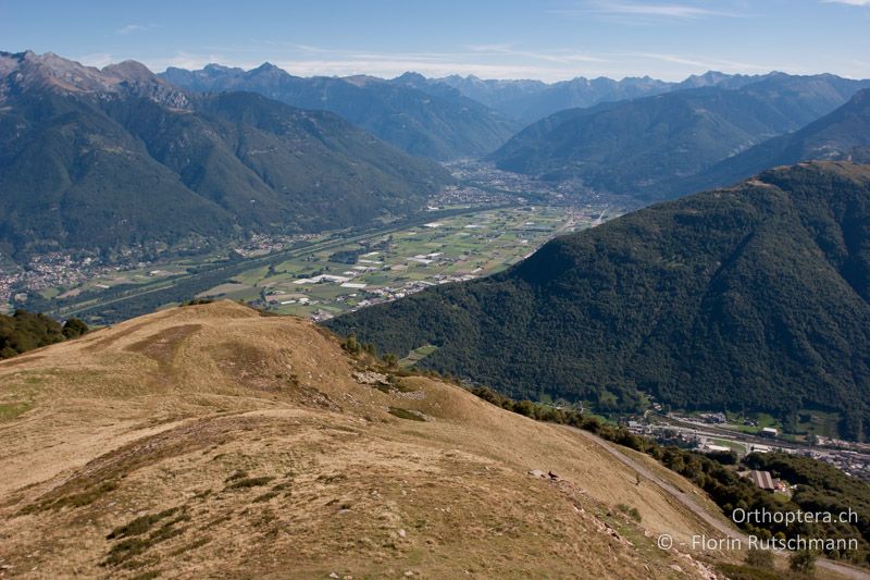 Trockenwarme Weide mit vegetationslosen Stellen - CH, TI, Mt. Tamaro, 29.08.2010