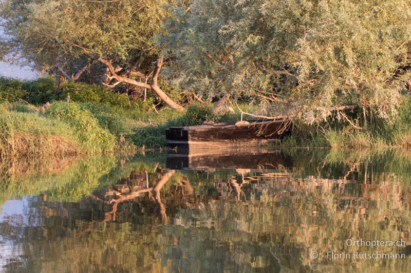 Fischerboot am Ufer - GR, Zentralmakedonien, Kerkini, 08.07.2017