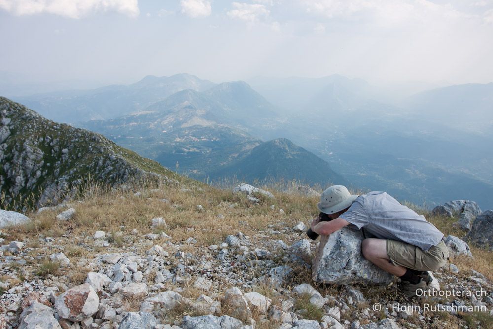 Dominik fotografiert eine Gefleckte Keulenschrecke (Myrmeleotettix maculatus) - Mt. Tomaros, 13.07.2011